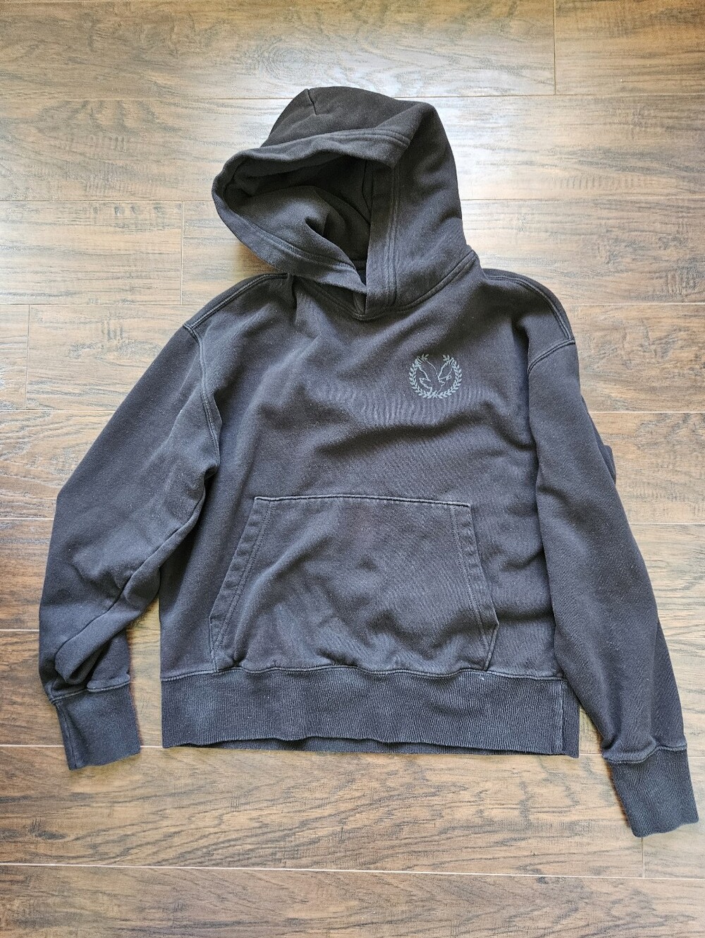 American Eagle Outfitters Black Hooded Sweatshirt with Subtle Crest